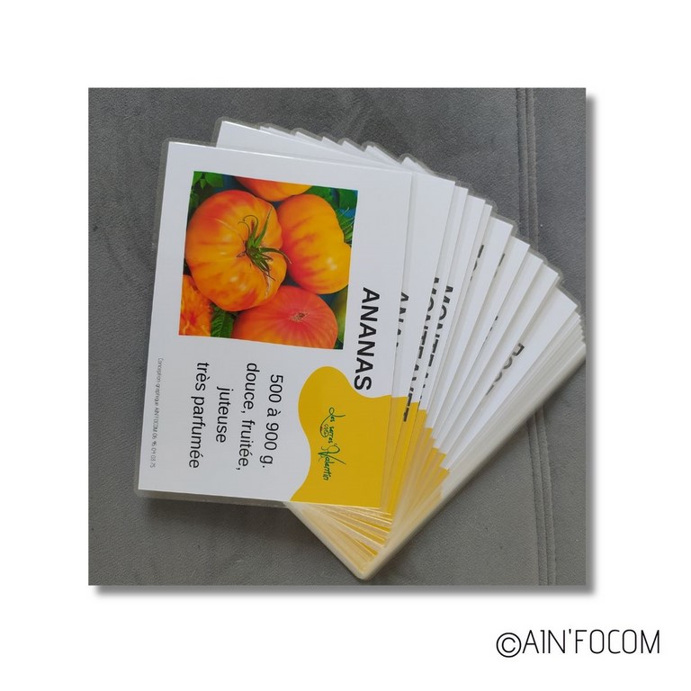 creations graphiqiues : signaletiques , faire-parts,banderoles, baches, brochures , goodies , affiches , flyers , carte postale, cartes de visites, sites internet, magnet , brochures, catalogues, dépliants,